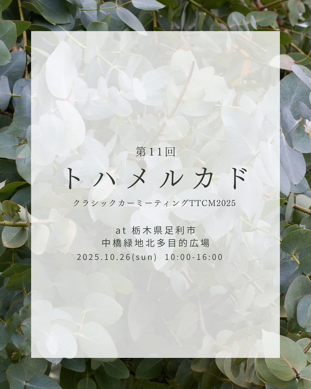 トハメルカドを栃木県足利市で開催、地域マーケットが中橋緑地北多目的広場に集い来場者の交流を生む