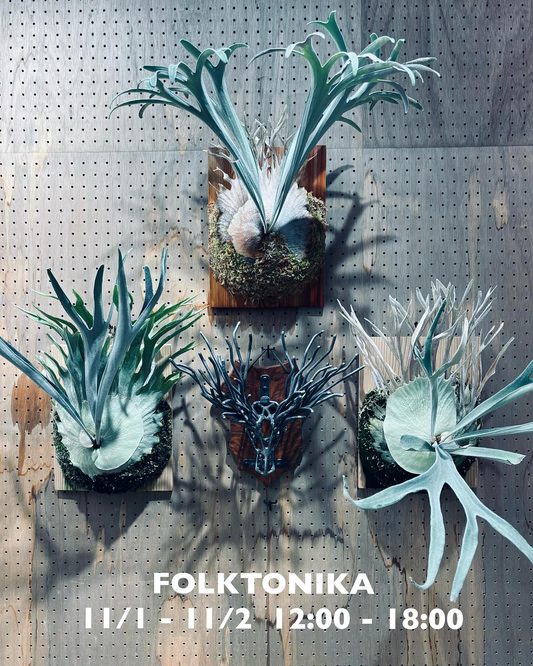 FOLKTONIKAがPOPUPを開催、だいだら植物店で鉄製アニマルヘッドと植物展示が交差し福井のカルチャーに新たな出会いを生む