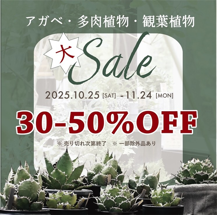 Coppice GARDENが大型セールを開催、アガベ・多肉・観葉が30～50％オフで那須の園芸愛好家の注目を集める