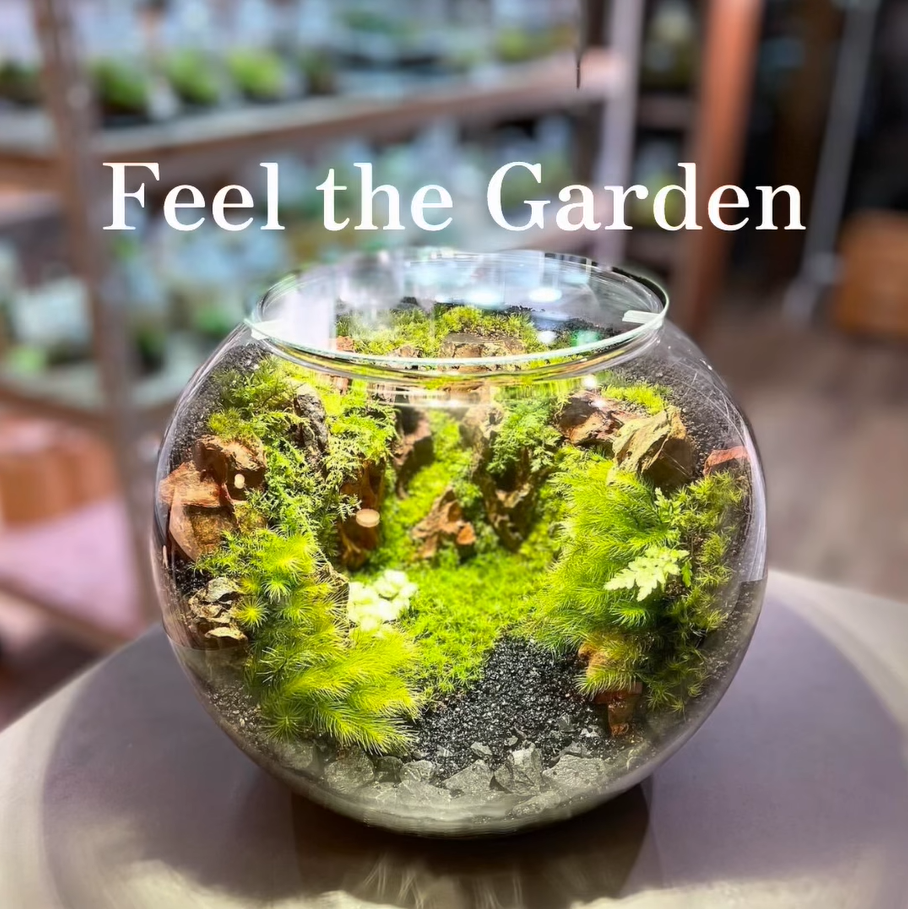 そごう広島店が苔テラリウム催事を開催、FeelTheGardenのワーク