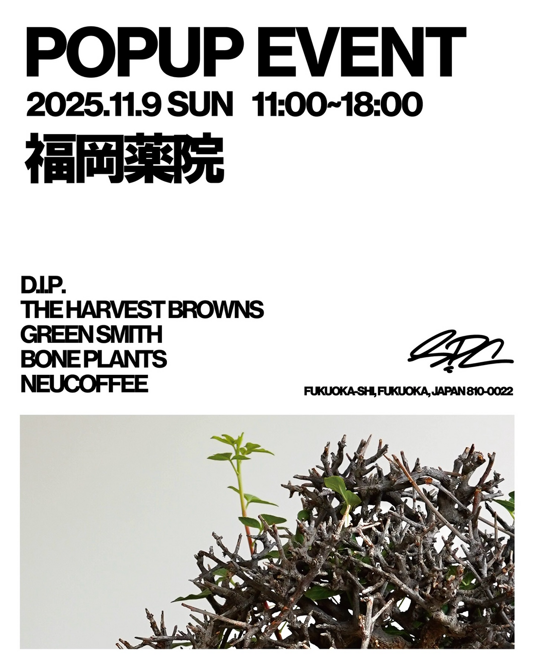 D.I.P.やTHEHARVESTBROWNSが合同企画を開催、POPUP EVENT福岡薬院2025がSPCで植物と鉢の出会いを創出