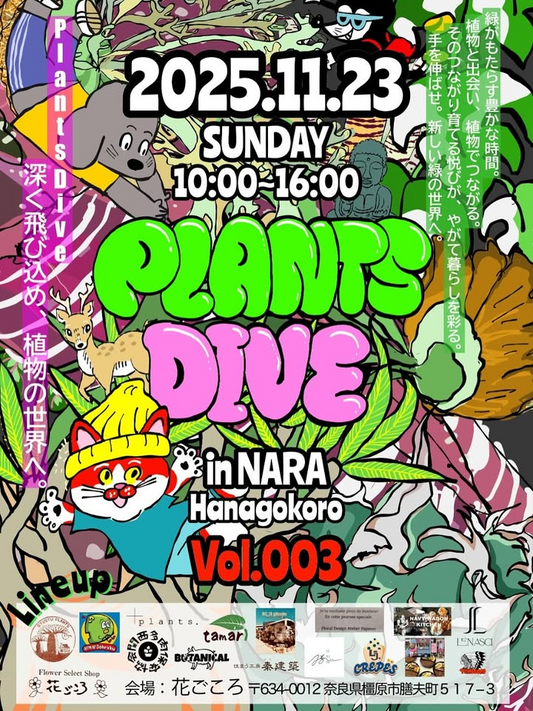 PLANTS DIVE vol.003が奈良花ごころで開催、アガベやビカクシダの専門店が集結し体験と飲食も楽しめる一日イベント