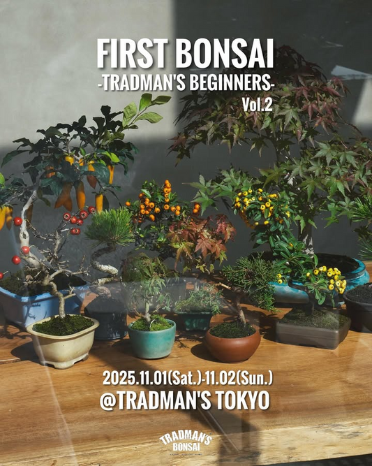 TRADMAN'STOKYOが小品盆栽販売会を開催、FRISTBONSAIvol.2が丸の内の店舗で2日間実施され購入者に特典とWS案内