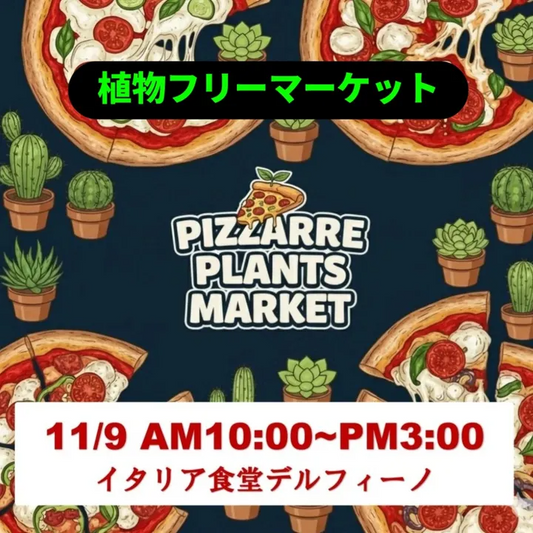 イタリア食堂デルフィーノが第4回ピザールプランツマーケットを開催、富山魚津で希少植物と飲食の週末体験