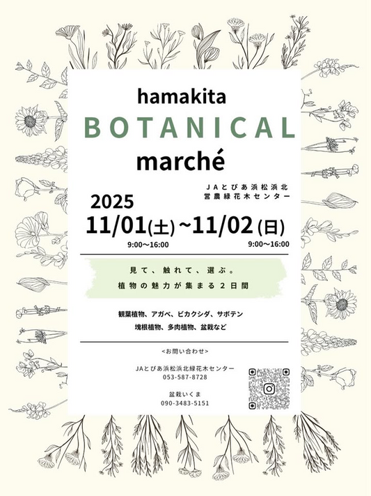 HAMAKITA BOTANICAL MARCHE2025が浜北で開催、JAとぴあ浜松浜北営農緑花木センターで観葉植物や塊根植物を体験