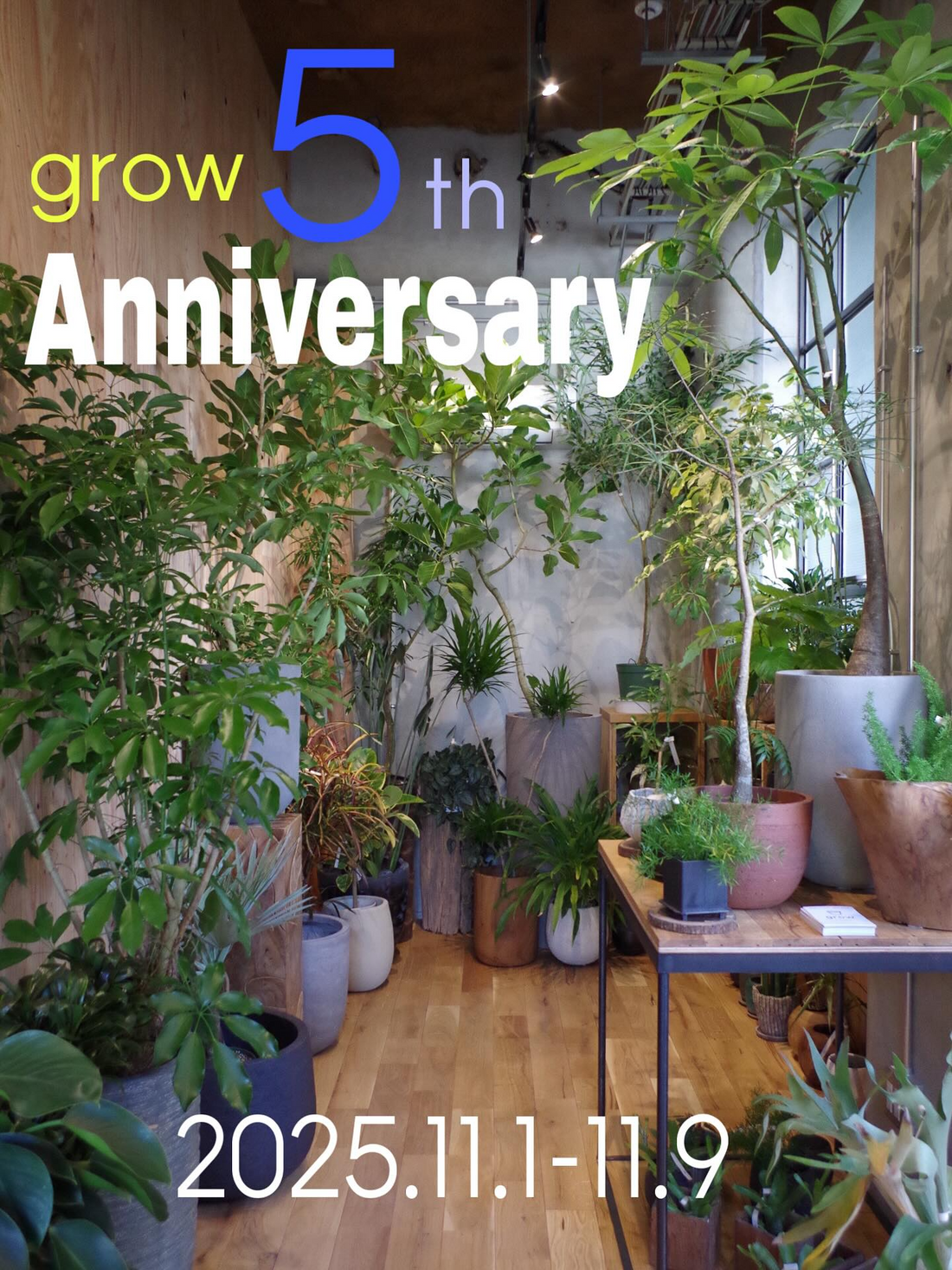 growが5周年ウィークを実施、くじ引きや限定ステッカーとセールを展開、京都市右京区のgrowで2025年11月1日から開催