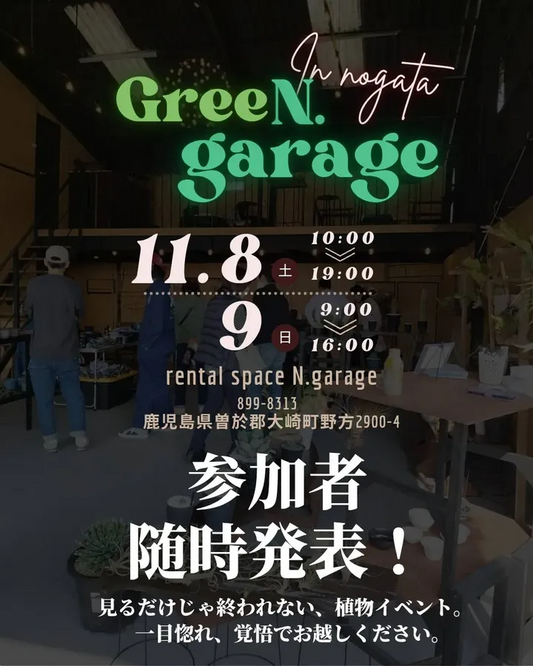 Green.garageが植物と癒しの2日間イベントを開催、N.garageレンタルスペースで委託販売と飲食出店が大崎町に集結