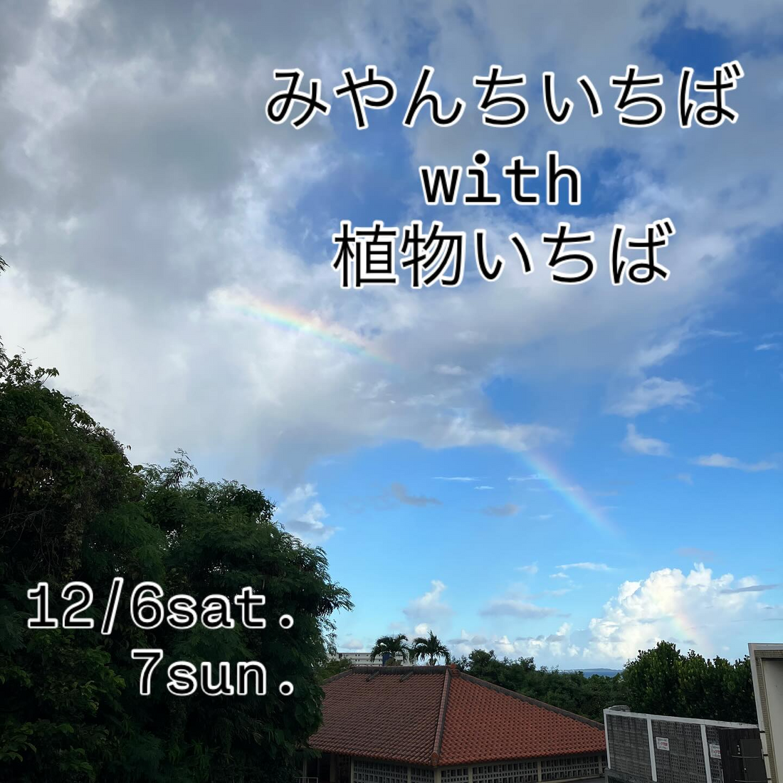 みやんちSTUDIO＆COFFEEがみやんちいちばwith植物いちばを2日間開催、飲食と雑貨と植物が沖縄市与儀で集結