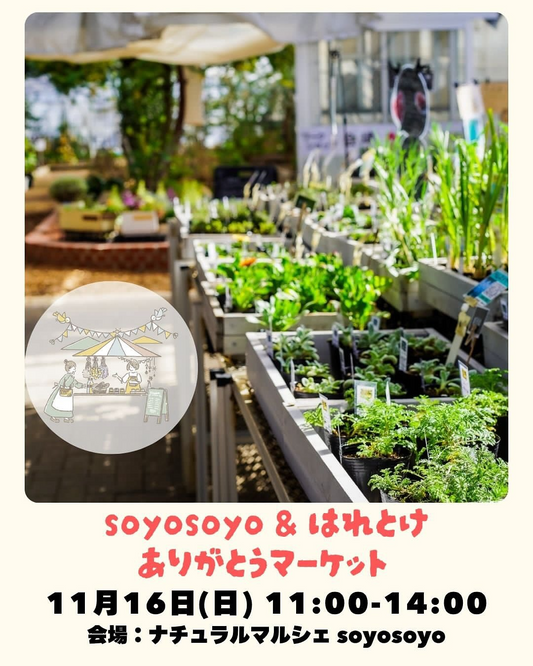 soyosoyoが今季最終日にありがとうマーケットを開催、池田町ハーブステーションで売り切りラストSALEと出店連携で来場体験を強化