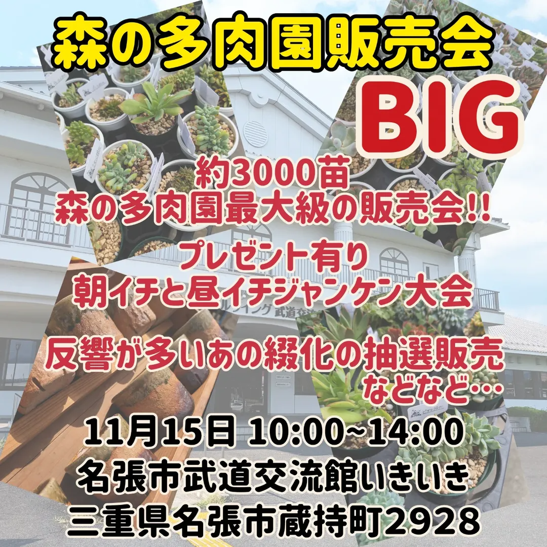 森の多肉園が第47回販売会BIGを名張で開催、約3000苗と抽選販売が多肉愛好家の関心を集める