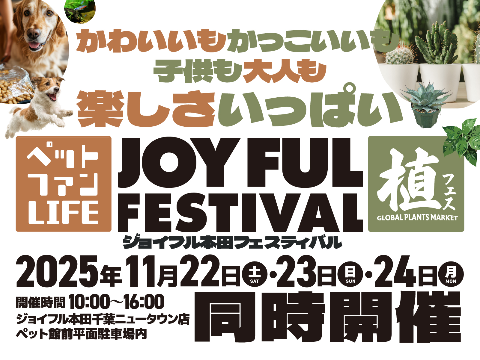 ジョイフル本田千葉ニュータウン店がJOYFUL FESTIVAL2025第2弾を開催