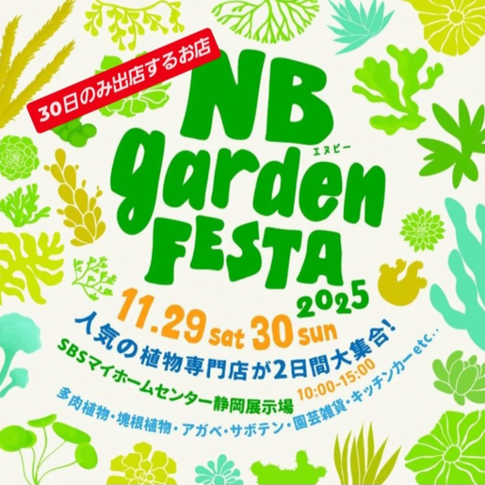NBgardenFesta2025が静岡で2日間開催、SBSマイホームセンター静岡展示場で多肉塊根アガベの展示販売が集結