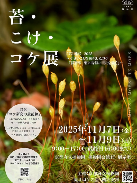京都府立植物園が京都苔こけコケ展2025を開催、寒椿の苔玉ワークショップと講演が来場者の学びと体験に