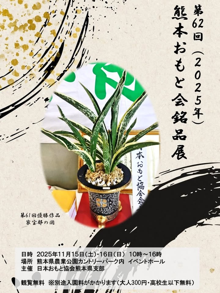 日本おもと協会熊本県支部が銘品展を開催、熊本県農業公園カントリーパークで万年青展示販売が注目を集める