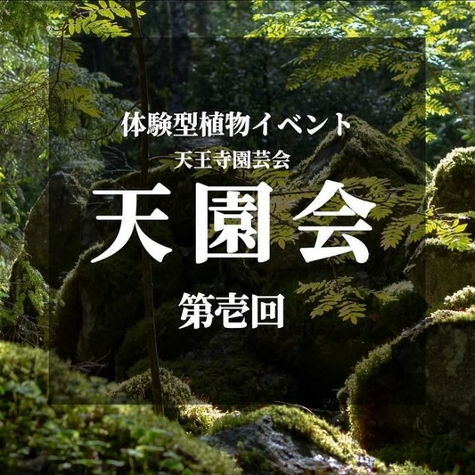 天王寺MIOが天王寺園芸会第壱回を開催、テラリウムと情景盆栽の展示販売と特別ワークショップが植物体験に直結