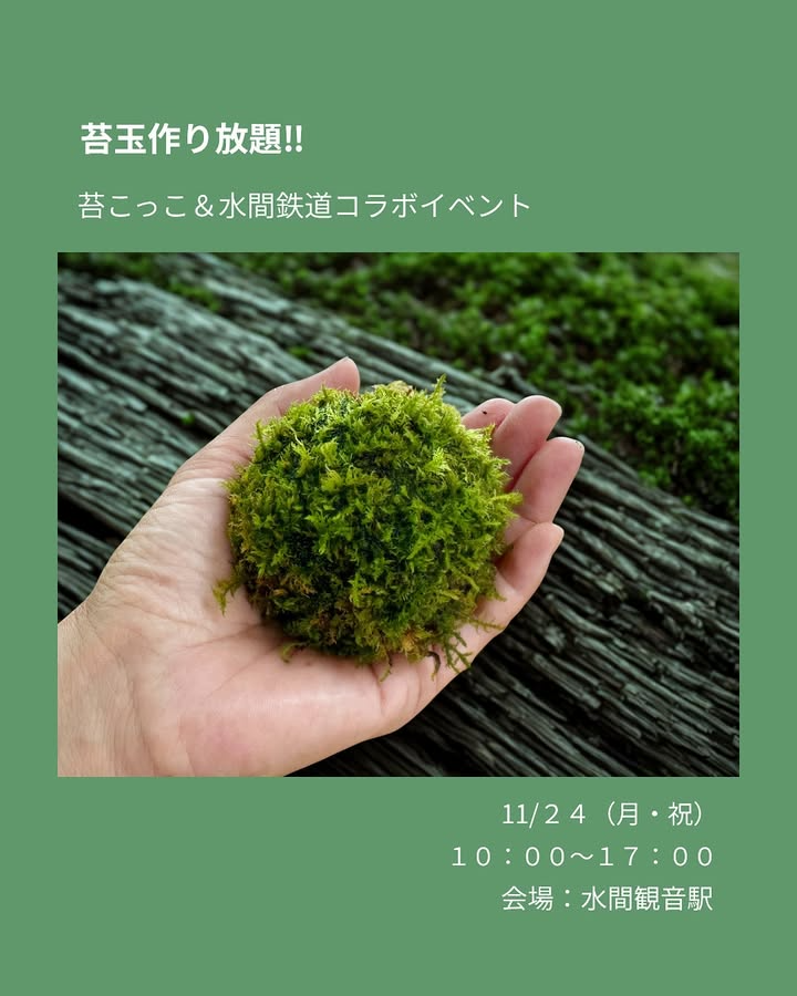苔こっこが苔玉作り体験を水間観音駅で開催、2025年11月24日に30分作り放題と駅展示で参加者を募集