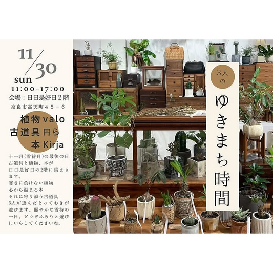 3人のゆきまち時間2025を日日是好日で開催、古道具と本と植物が奈良の2階会場に集まり冬の家時間を提案