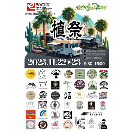 植祭vol.2がジャンボエンチョー磐田店で開催、多肉やアガベと塊根植物の出店が集結し家族で楽しめる2日間に