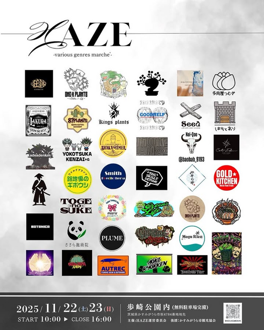 HAZEseason3が歩崎公園で2日開催、アガベと観葉や塊根とスリット鉢が集結し知育トイも楽しめる家族向け植物マルシェに