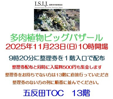 国際多肉植物協会が多肉植物ビッグバザール2025を開催、五反田TOCビル13階で整理券制の大型即売会が注目を集める
