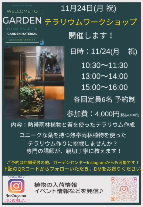 スーパービバホーム茨木目垣店がテラリウムワークショップを開催、各回6名予約制で熱帯雨林植物と苔を使った制作体験