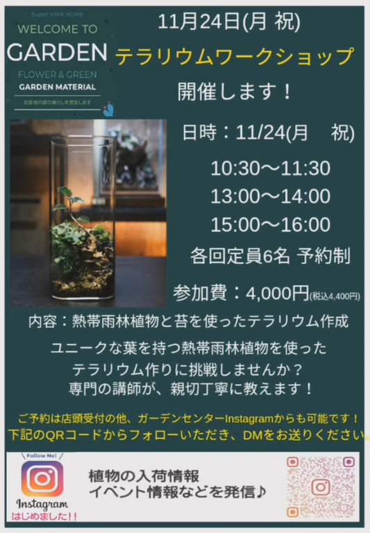 スーパービバホーム茨木目垣店がテラリウムワークショップを開催、各回6名予約制で熱帯雨林植物と苔を使った制作体験