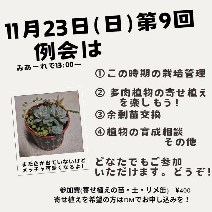 土佐室戸サボテンクラブが第九回定例会を開催、南国市地域交流センターMIAREで栽培管理と寄せ植え体験を実施