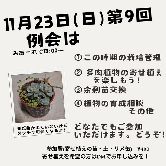 土佐室戸サボテンクラブが第九回定例会を開催、南国市地域交流センターMIAREで栽培管理と寄せ植え体験を実施