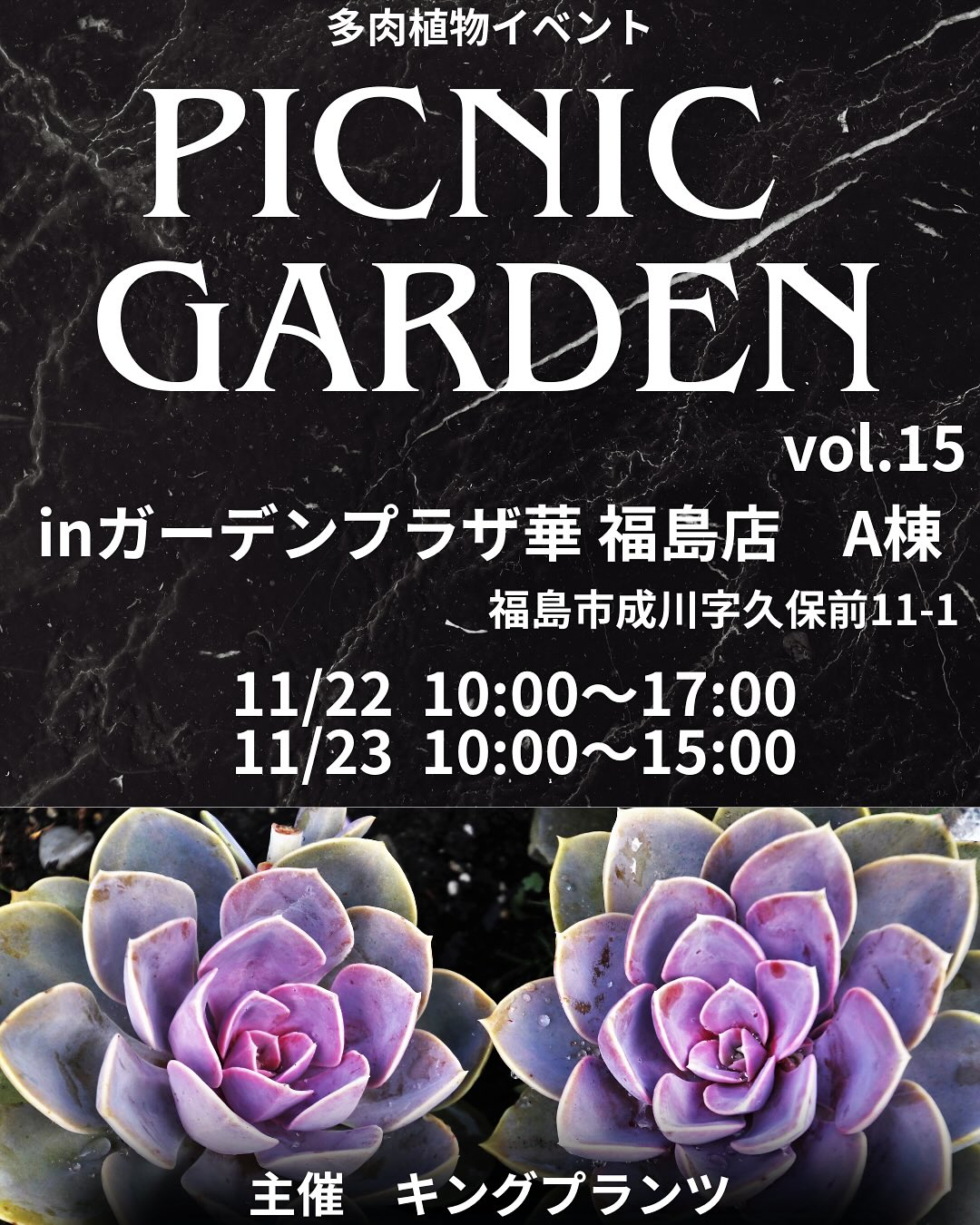 キングプランツがピクニックガーデンvol.15を開催、ガーデンプラザ華A棟で多肉植物販売とワークショップが福島の週末を彩る