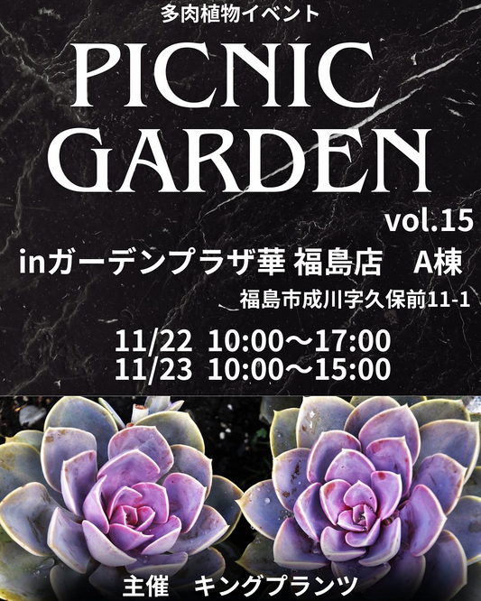 キングプランツがピクニックガーデンvol.15を開催、ガーデンプラザ華A棟で多肉植物販売とワークショップが福島の週末を彩る