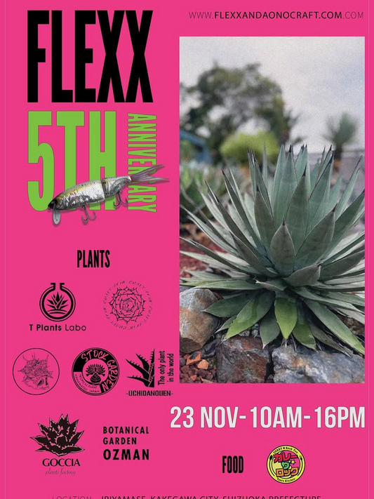 AONOCRAFTがFLEX 5th ANNIVERSARYを開催、輸入ベアルート特価と専門店出店が掛川で話題に