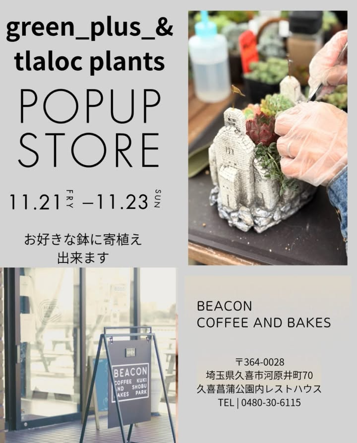 green plusが展示販売と多肉寄せ植えを実施、BEACON coffee and bakesでgreen_plus_&_tlaloc plants POPUP STORE 2025を開催