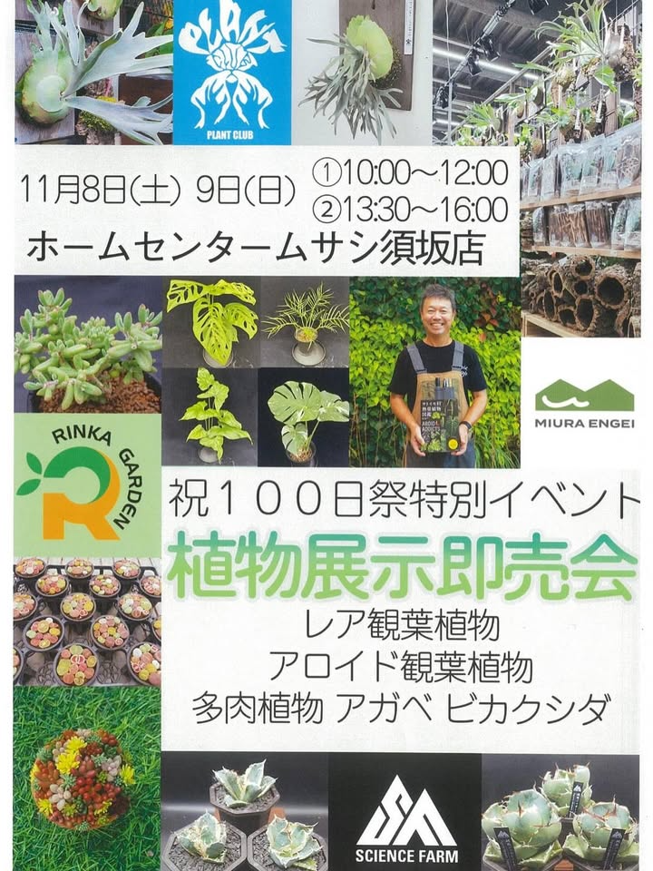 ホームセンタームサシ須坂店が祝100日祭特別イベント植物展示即売会を開催、アロイドやAgaveの販売と相談対応を実施