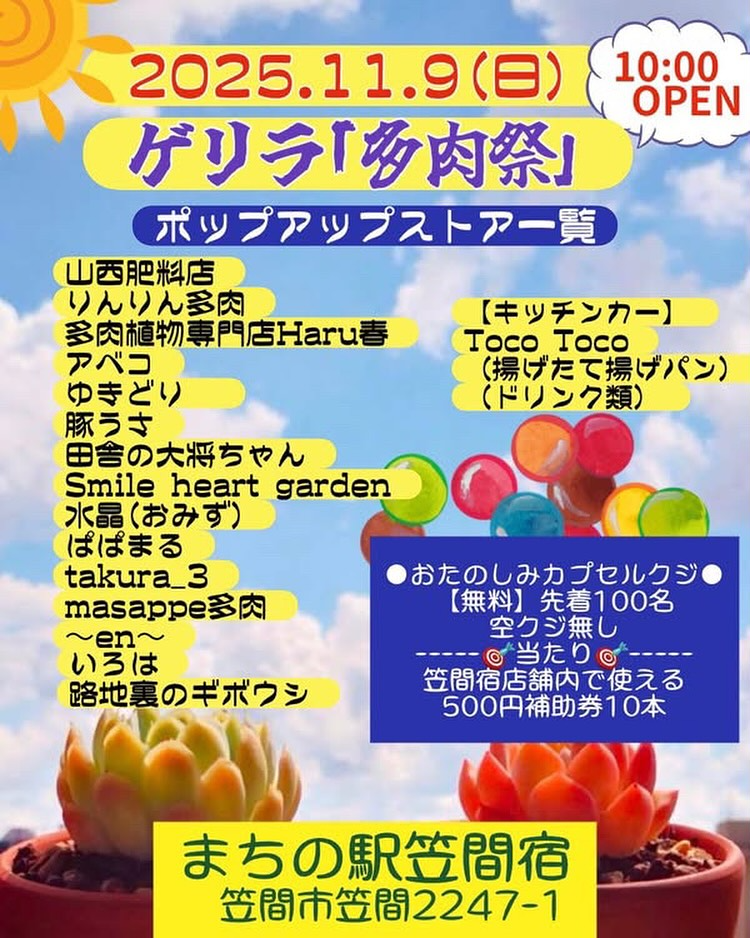 ゲリラ多肉祭が2025年11月9日に開催、まちの駅笠間宿で多肉販売と先着100名無料カプセルクジを実施