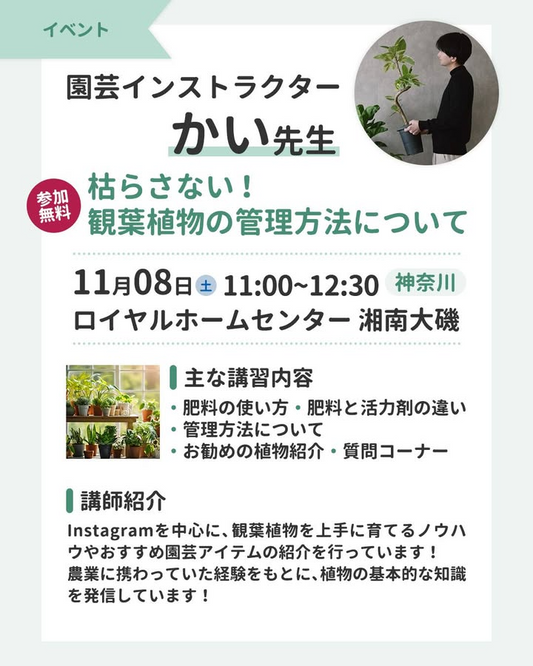 ロイヤルホームセンター湘南大磯が観葉植物の管理講習を開催、肥料と活力剤の違いを実演で学べる無料イベント2025