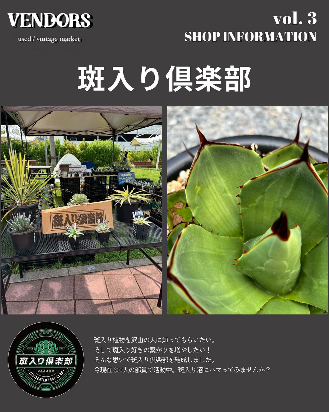 斑入り倶楽部がvendors used vintage market vol.3 2025を開催、斑入り植物と古着のマーケットが千葉市中央区に集結する