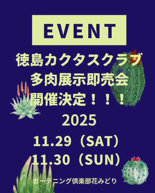 徳島カクタスクラブ多肉展示即売会2025が開催、ガーデニング倶楽部花みどりに多肉植物愛好家が集う