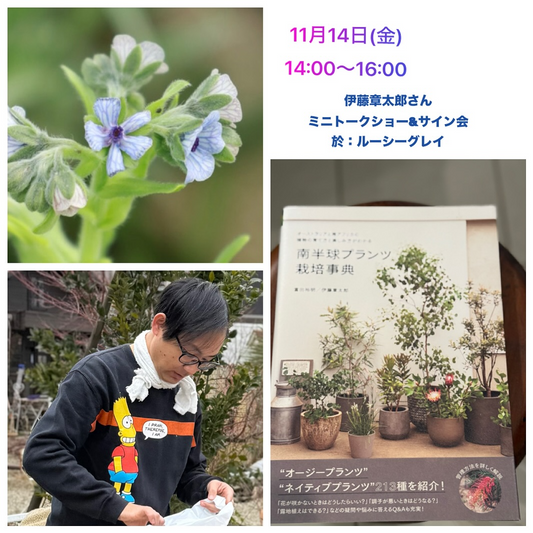 伊藤章太郎がミニトークショー&サイン会を開催、2025年11月14日にルーシーグレイで南半球プランツ栽培事典の世界を紹介