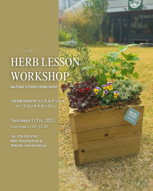 HERBSHOPがハーブコンテナガーデン2025ワークショップを開催、神戸市兵庫区で木製プランターを使うハーブ講座が暮らしを彩る