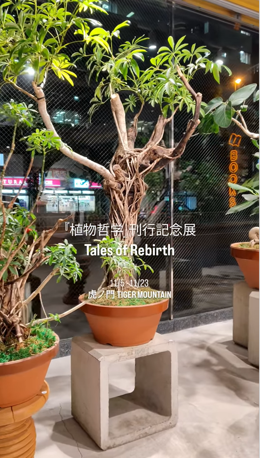 ExhibitionTalesofRebirth植物哲学刊行記念展がTIGERMOUNTAINで開催、リボーンプランツが都市生活者の植物観に問いを投げかける2025