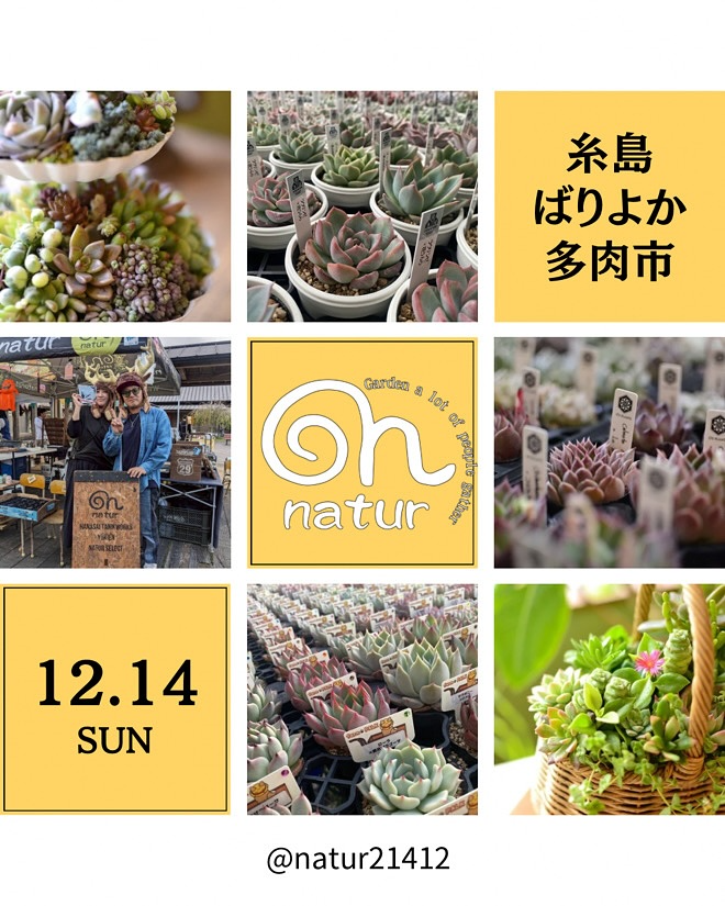 plants funshop naturが第6回糸島ばりよか多肉市2025に出店、多肉植物苗と寄せ植え販売が福岡の愛好家の注目を集める