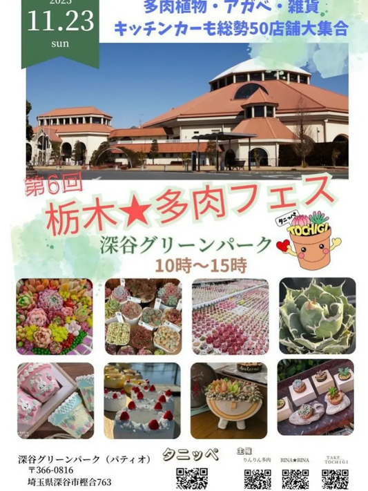 第六回栃木★多肉フェス2025が深谷グリーンパークで開催、多肉植物とハンドメイドの出店が集結