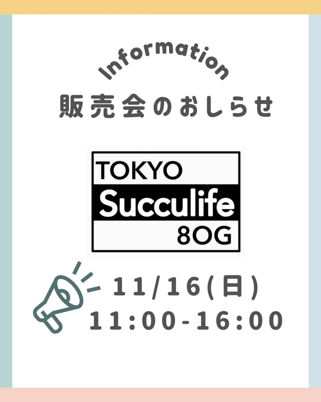 Tokyo Succulife 80G販売会が多肉屋芽吹で2025年11月16日に開催、エケベリア苗販売が横浜の多肉植物愛好家を集めるイベントに