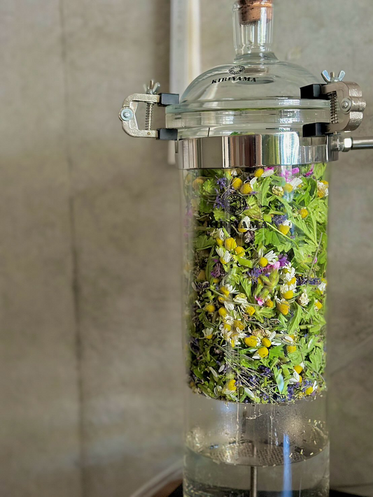 NEROLIDOLがハーブを暮らしに取り入れるための特別講座2025を開催、naeme farmers standのランチ付き講座がハーブ活用の学びに