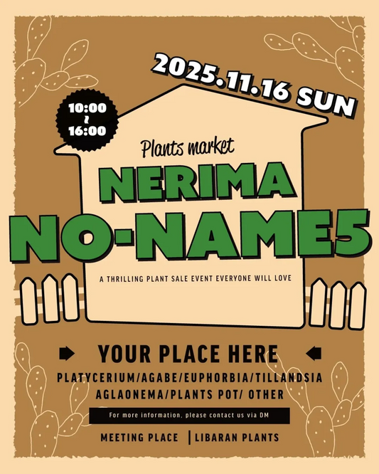 Libaran.plantsオベサ専門店リバランが練馬 NO NAME5を開催、ビカクシダやアグラオネマの専門植物販売イベントが練馬の植物文化に注目を集める