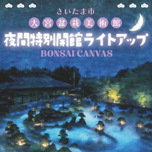 夜間特別開館ライトアップBONSAICANVASが大宮盆栽美術館で開催され盆栽庭園の幻想的なライトアップが話題に