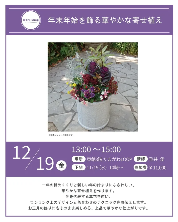 玉川高島屋たまがわLOOPが年末年始を飾る華やかな寄せ植え2025を開催、冬の草花寄せ植え体験が東京の園芸ファンに届く