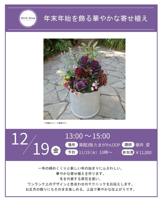 玉川高島屋たまがわLOOPが年末年始を飾る華やかな寄せ植え2025を開催、冬の草花寄せ植え体験が東京の園芸ファンに届く