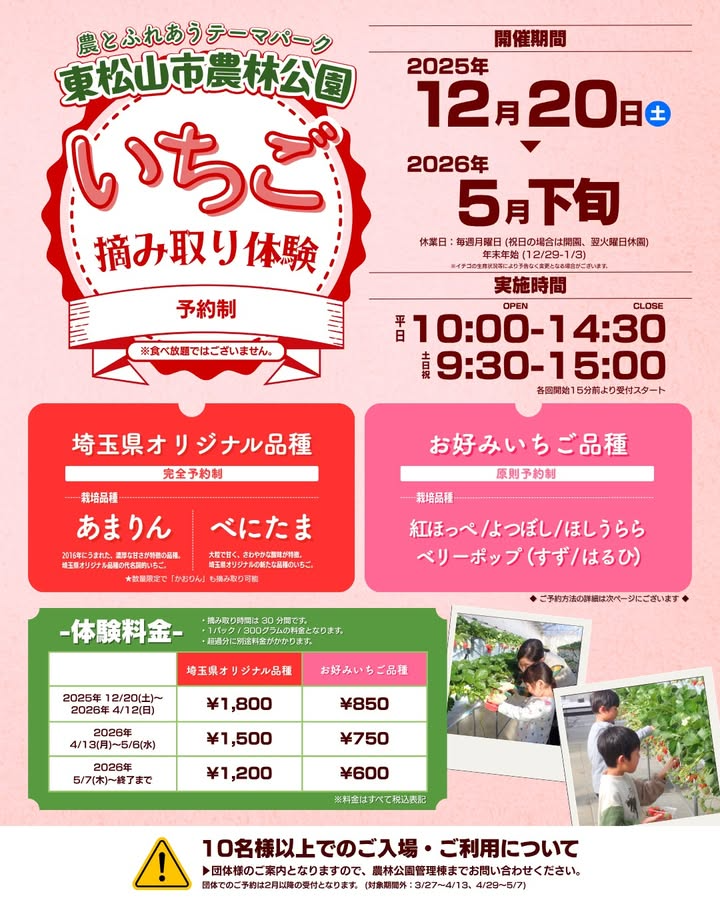 東松山市農林公園がいちご摘み取り体験2025-2026を実施、埼玉県オリジナル品種と人気いちご品種の収穫体験が家族のおでかけ需要に応える