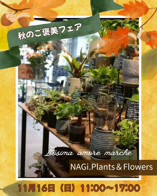 AUTUMN LUXURY秋のご褒美フェア2025が田中整形外科クリニックで開催、NAGi.Plants＆Flowersの観葉植物が糸島の週末イベントに彩りを添える